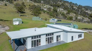 337 Mount Mackenzie Road Tenterfield NSW 2372