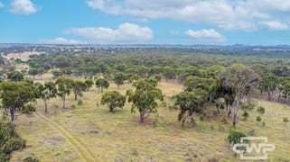 215 New England Highway Deepwater NSW 2371