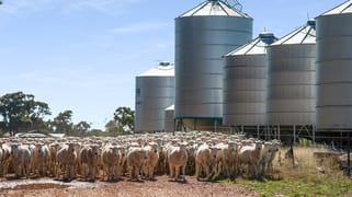 4844 Braidwood Road Tirrannaville NSW 2580