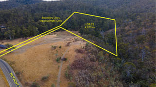 Lot 12/970 Nugent Rd Wattle Hill TAS 7172