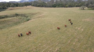 1262 Willina Road Bunyah NSW 2429