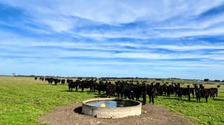 Timboon-Terang Road Ecklin South VIC 3265