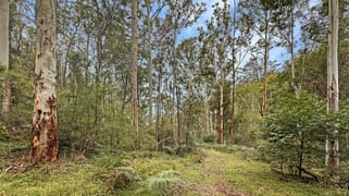 Lot 182 Stockyard Creek Road Paynes Crossing NSW 2325