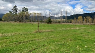 36143 Tasman Highway Springfield TAS 7260