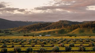 232A Fernhill Road Dalwood NSW 2335