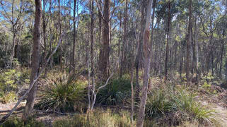 Lot 1 River Road Reedy Marsh TAS 7304