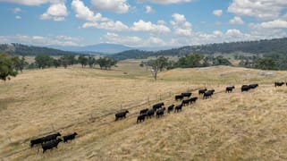 11 Chetwynd Street Loganholme QLD 4129