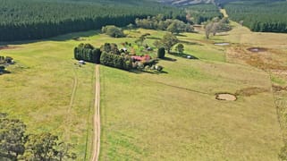 34 Cases Lane Mount Lambie NSW 2790