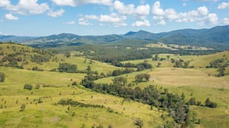 1331 Forbes River Road Long Flat NSW 2446