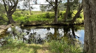 5555 Parks Creek Road East Gresford NSW 2311