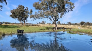2527 Sofala Road Wiagdon NSW 2795