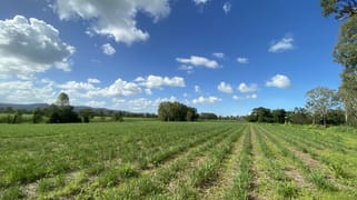 113 Koumala-Bolingbroke Road Koumala QLD 4738
