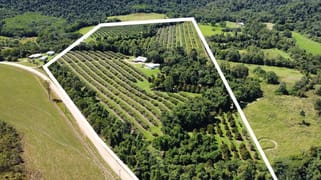 281 Dingo Pocket Rd Dingo Pocket QLD 4854