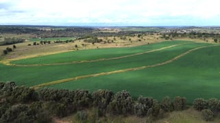 Lot 223 Oakey Cooyar Road Kulpi QLD 4352