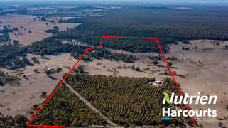 Lot 2 Forest Road Killawarra VIC 3678