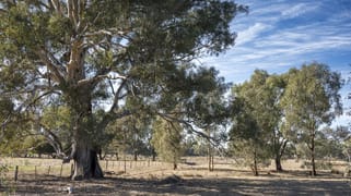 CA29 Golden Vale Road Benalla VIC 3672