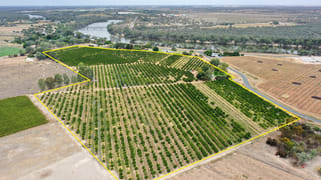 615 Delta Road Curlwaa NSW 2648