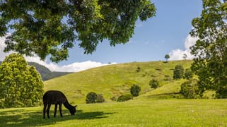 Mount Delaney QLD 4514