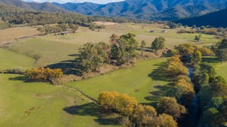 191 Jamieson - Licola Road Jamieson VIC 3723