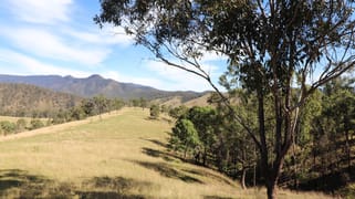 Lot 81/7986 Kempsey Rd Lower Creek NSW 2440