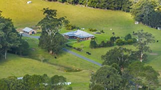 621 Upper Orara Road Upper Orara NSW 2450