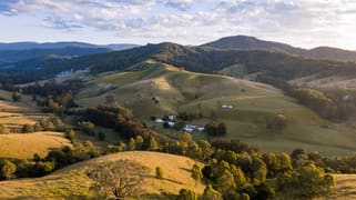 3334 Allyn River Road Upper Allyn NSW 2311