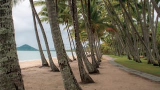 Palm Cove QLD 4879