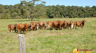 Danbulla QLD 4872 Danbulla QLD 4872