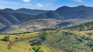 456 Gelantipy Road Buchan VIC 3885