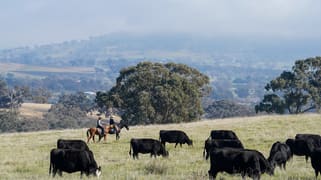 'Bunyarra Range' 60 Bunyarra Lane Orange NSW 2800 'Bunyarra Range' 60 Bunyarra Lane Orange NSW 2800