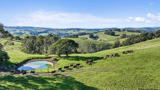 80 Inglis Lane Mirboo North VIC 3871