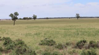 523 Norris Lane West Wyalong NSW 2671
