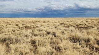 5075 Cramsie Muttaburra Road Longreach QLD 4730