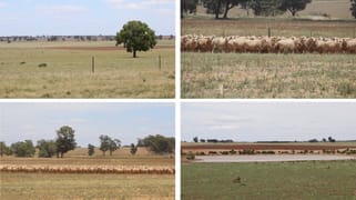 179 Norris Lane West Wyalong NSW 2671