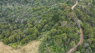 478 Foster-Mirboo Road Dollar VIC 3871