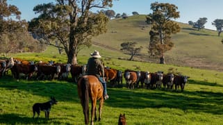 1404 Snowy Mountains Highway Tumut NSW 2720