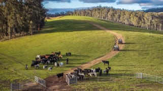 'Rosewood', Geraldine Road Walcha NSW 2354