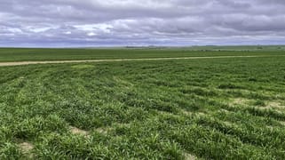 4529 Kulin-Lake Grace Road Kuender WA 6353