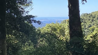 Topaz QLD 4885