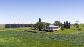 294 Rosenberger Road Wyreema QLD 4352