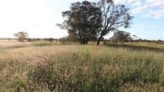 0 Bishop Road Garnant QLD 4702