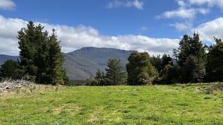 1390 Loongana Road Loongana TAS 7315