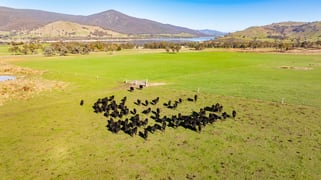 'Boxbourne North'/2445 Wymah Rd Wymah NSW 2640 'Boxbourne North'/2445 Wymah Rd Wymah NSW 2640