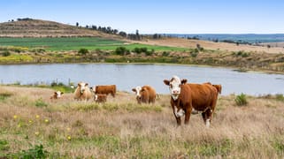 296 Barr Road Clontarf QLD 4357