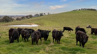 43 Byng Road Guyong NSW 2798