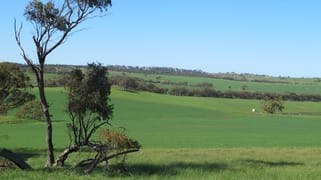 Wongamine Goomalling-Toodyay Road Goomalling WA 6460