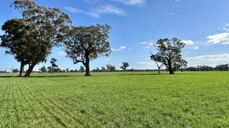 2791 Sturt Highway Wagga Wagga NSW 2650