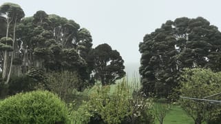 90 Bischoffs Road Pegarah TAS 7256