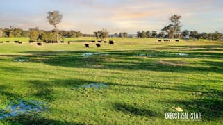 46 Murphys Lane Orbost VIC 3888