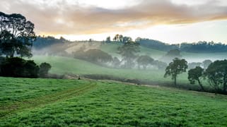 1431 Coramba Road Dorrigo NSW 2453 1431 Coramba Road Dorrigo NSW 2453